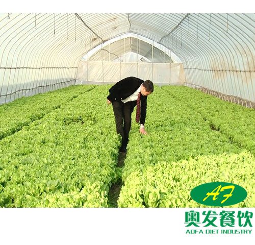 武汉蔬菜水果配送的优势