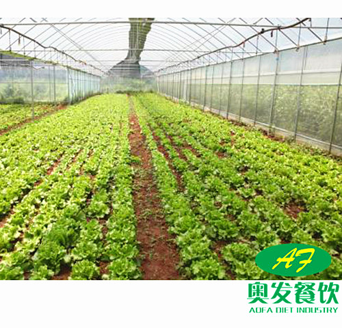 湖北食堂承包公司:怎么做好食堂得地面卫生？